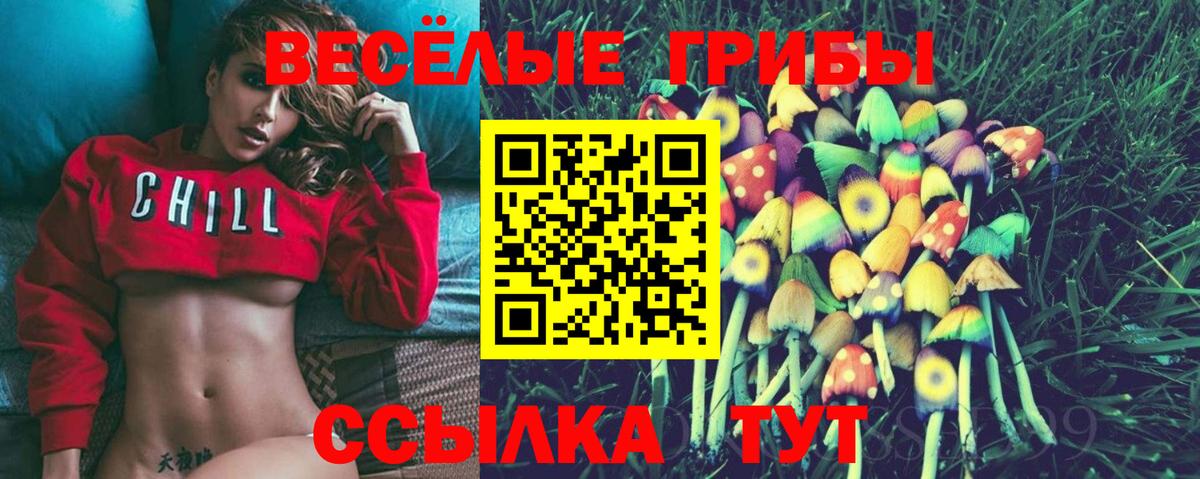Курчалой  Псилоцибиновые грибы мухоморы  Вход с VPN 
